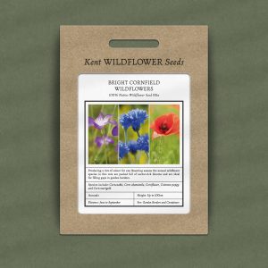 colourful cornfield wildflowers for gardens