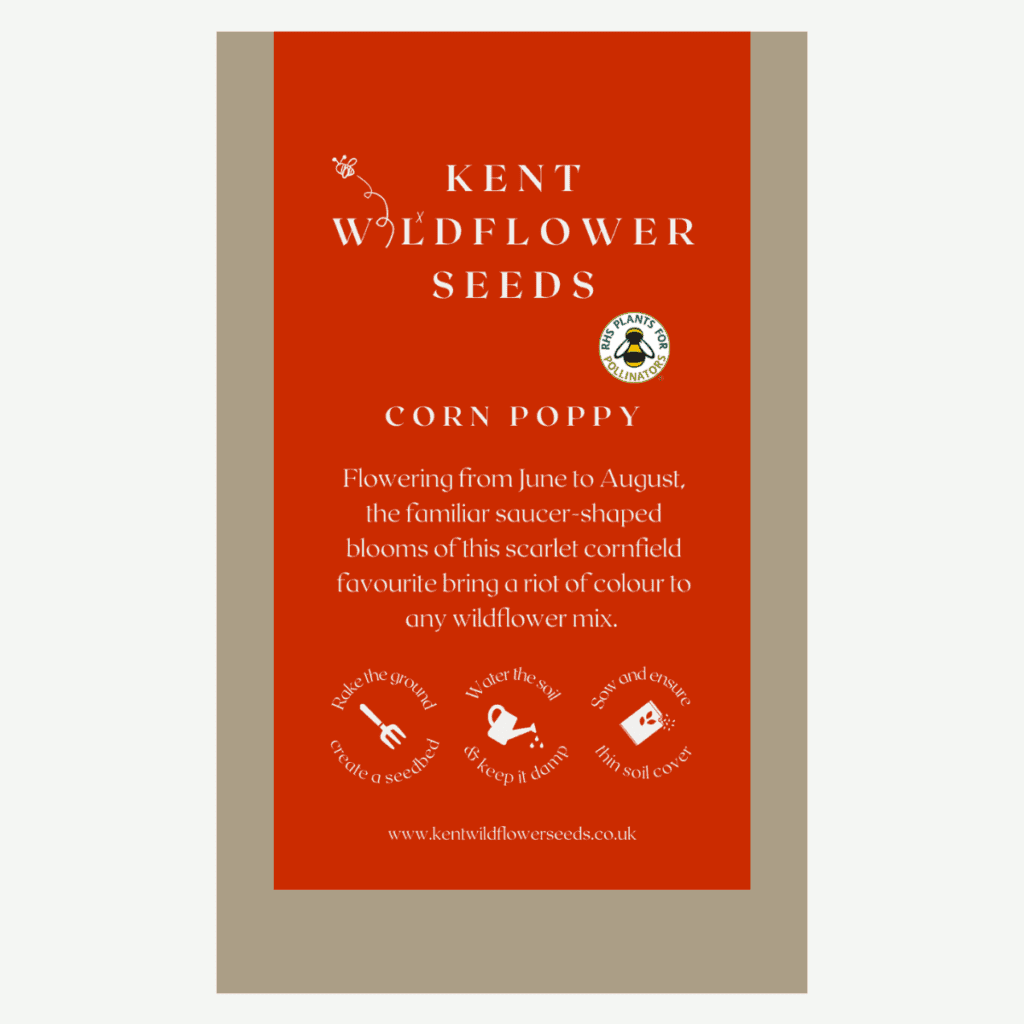 Kent Wildflower Seeds - Corn Poppy Straight - Product Front