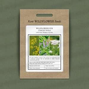 Wildflowers For Chalky Soils Native Seed Mixture