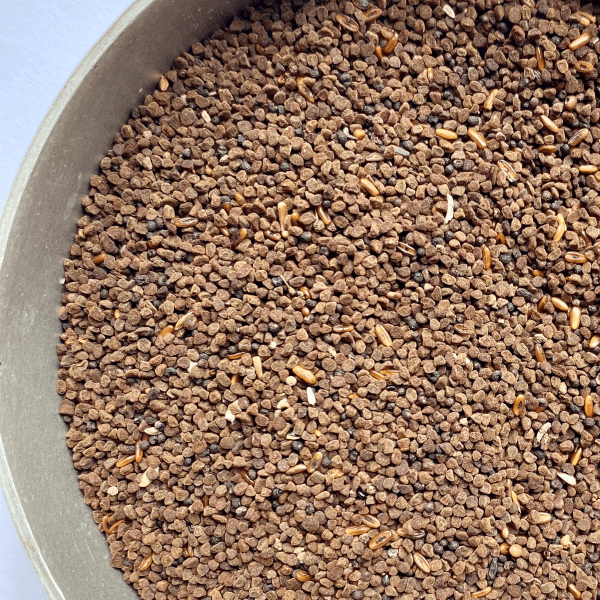 Cowslip seeds - Kent Wildflower Seeds