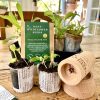 Paper Pot Maker With Wildflower Seeds - Kent Wildflower Seeds