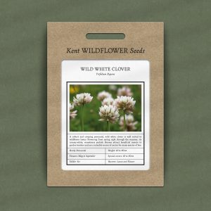 Trifolium Repens - Wild White Clover Seeds