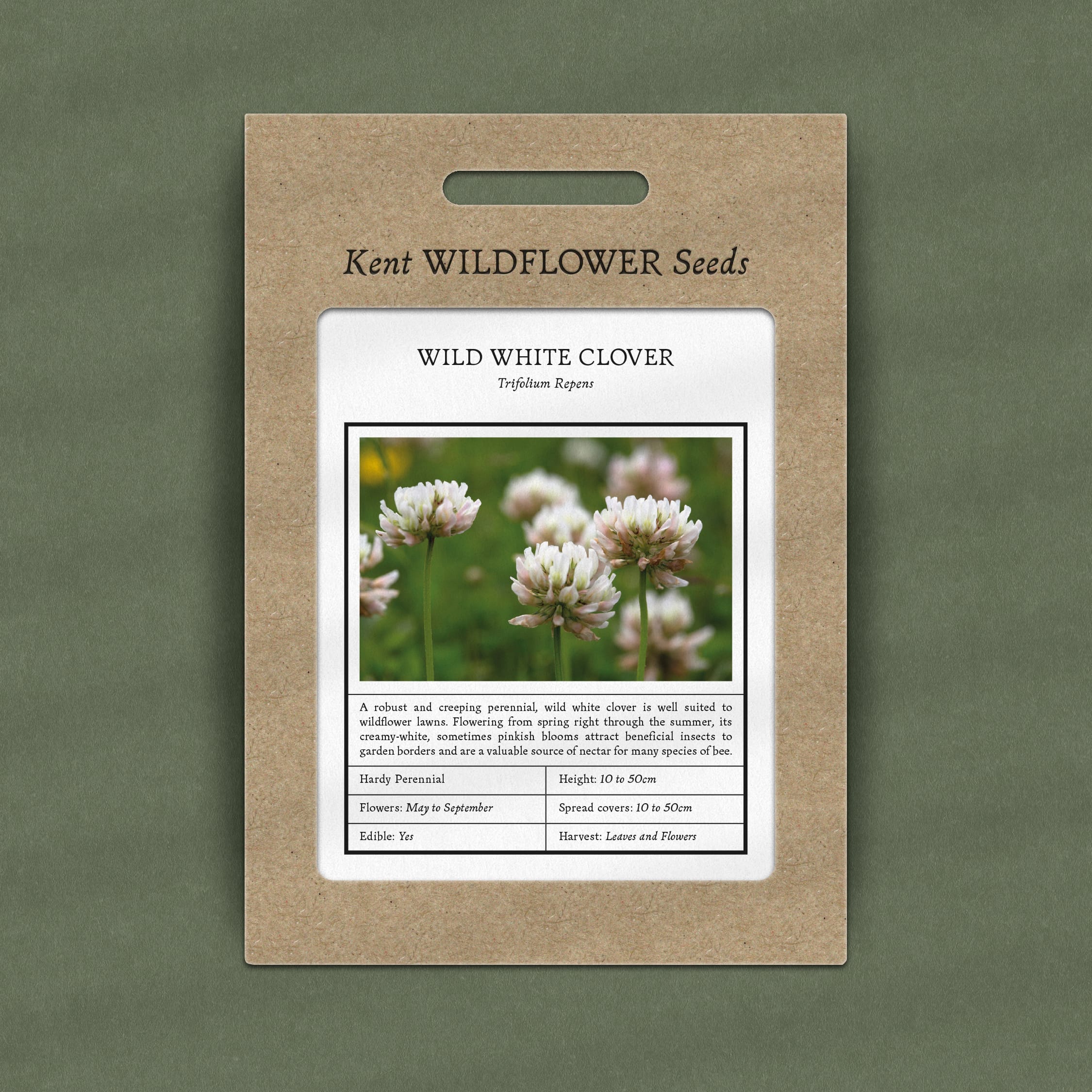 White Clover Seeds 250g - Ground Cover Lawn Alternative, Pollinator Friendly, Low Maintenance
