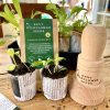 Wooden Paper Pot Maker with Bumble Bee Design - Kent Wildflower Seeds