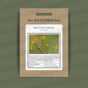 Lotus Corniculatus - Birdsfoot Trefoil Seeds