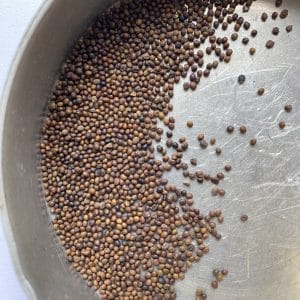 Native birdsfoot trefoil wildflower seeds grown and harvested in Kent