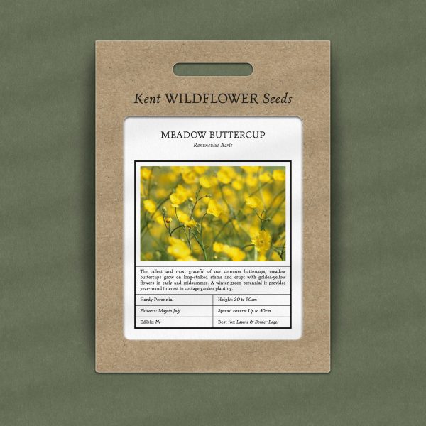 native meadow buttercup seeds for garden borders and flowering lawns