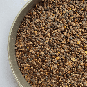 Meadow buttercup seed - Kent Wildflower Seeds