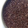 native common sorrel wildflower seeds