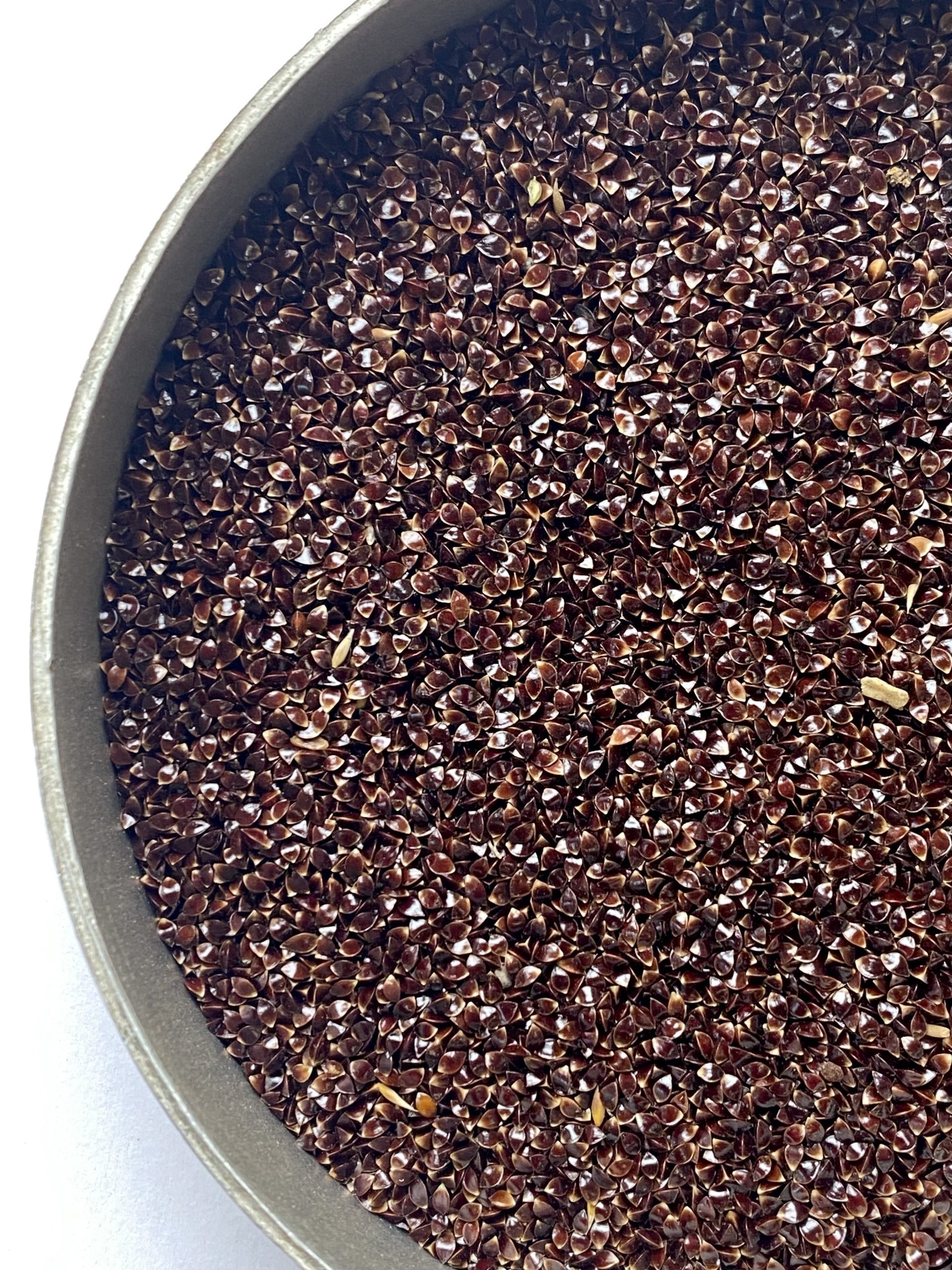 native common sorrel wildflower seeds