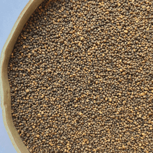 Native Kent Lady's Bedstraw Seeds - Kent Wildflower Seeds