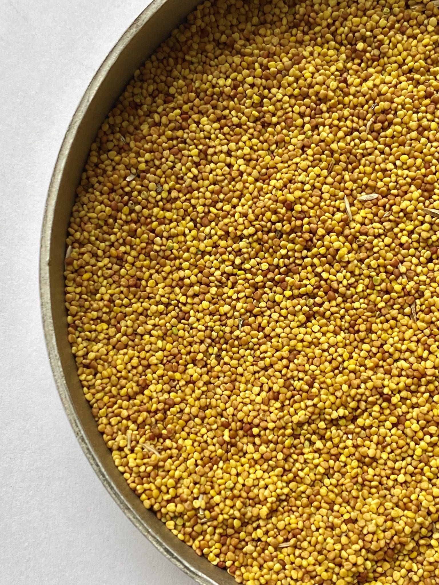 Wild White Clover Seeds - Trifolium Repens - Kent Wildflower Seeds