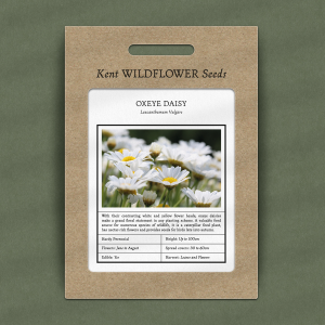 Leucanthemum Vulgare - Oxeye Daisy Seeds
