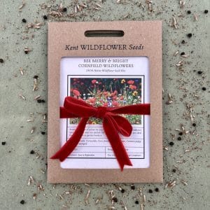 Christmas stocking filler for gardeners