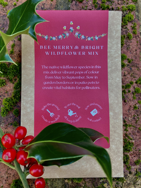 Sustainable Christmas Stocking Filler - Bee Merry & Bright - Front