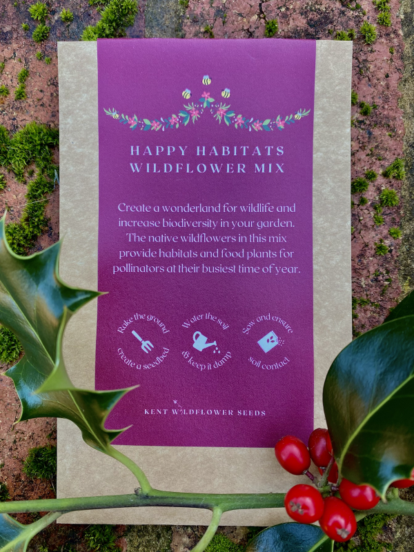 Sustainable Wildflower Christmas Stocking Filler - Happy Habitats - Front