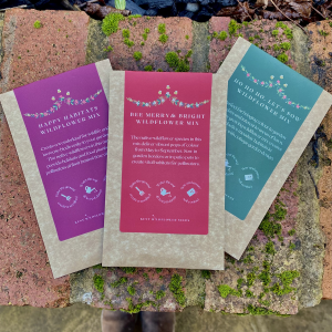 Sustainable Wildflower Christmas Stocking Fillers