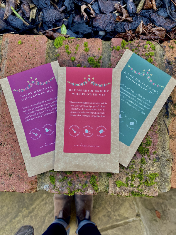 Sustainable Wildflower Christmas Stocking Fillers
