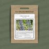 Native viper's bugloss wildflower seeds