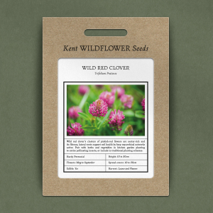 Trifolium Pratense - Wild Red Clover Seeds
