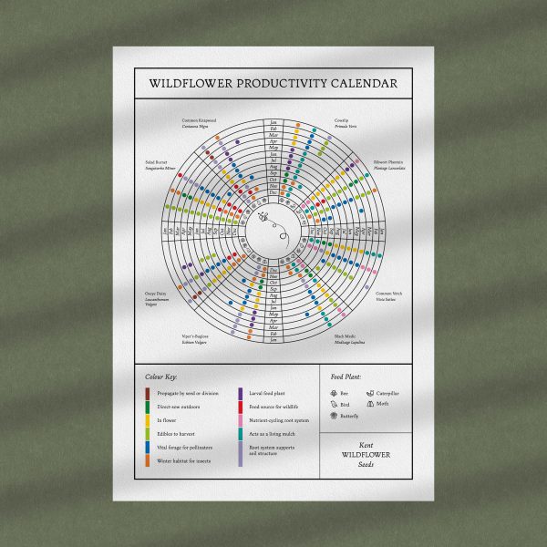 Wildflower productivity calendar