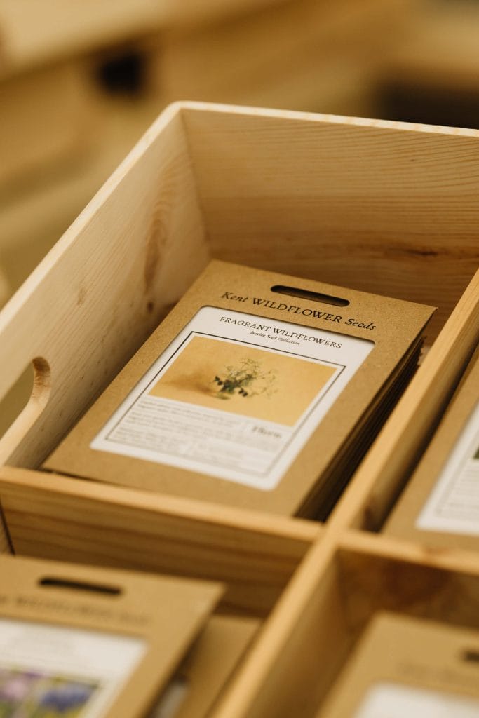 ffern wildflower seeds