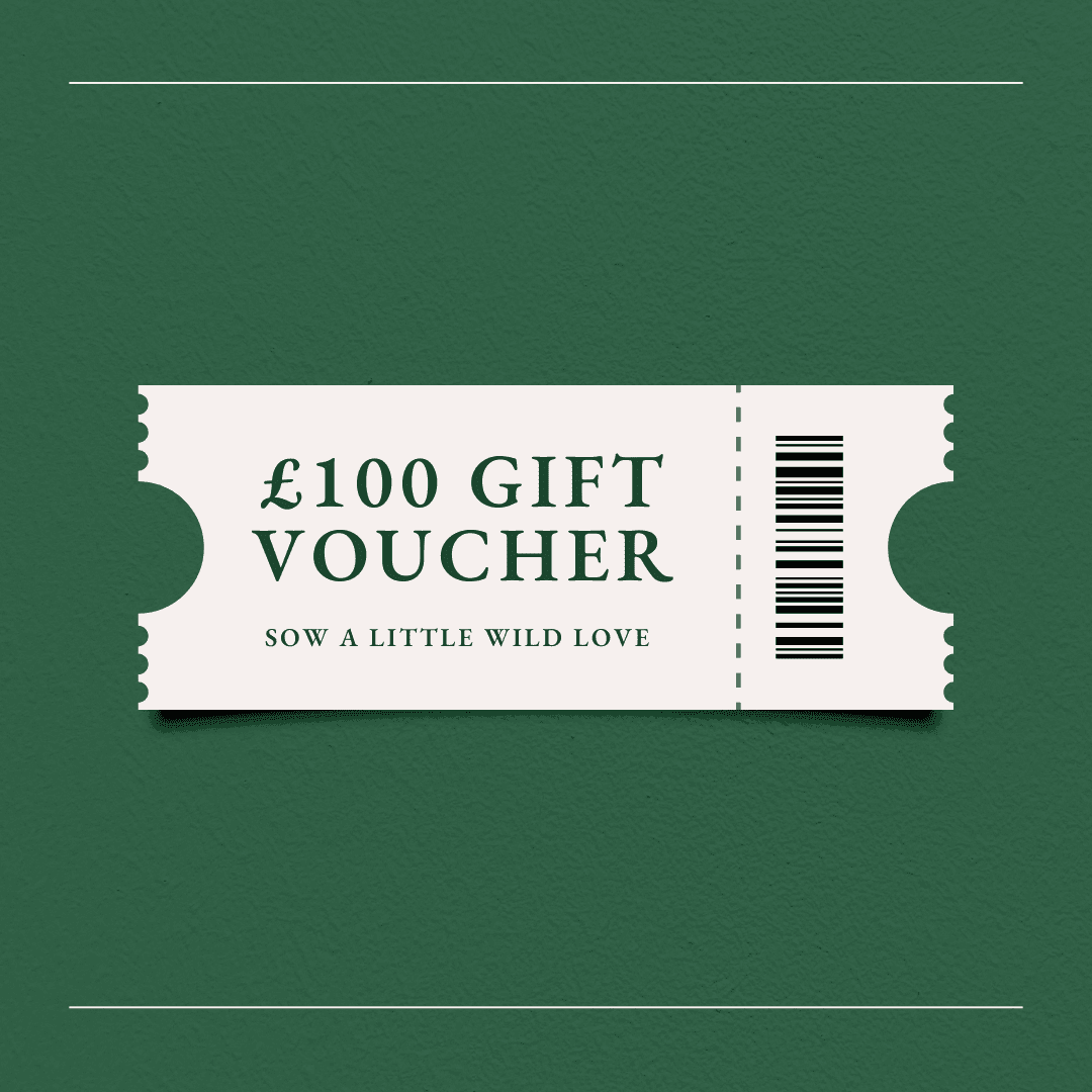 wildflower gift voucher