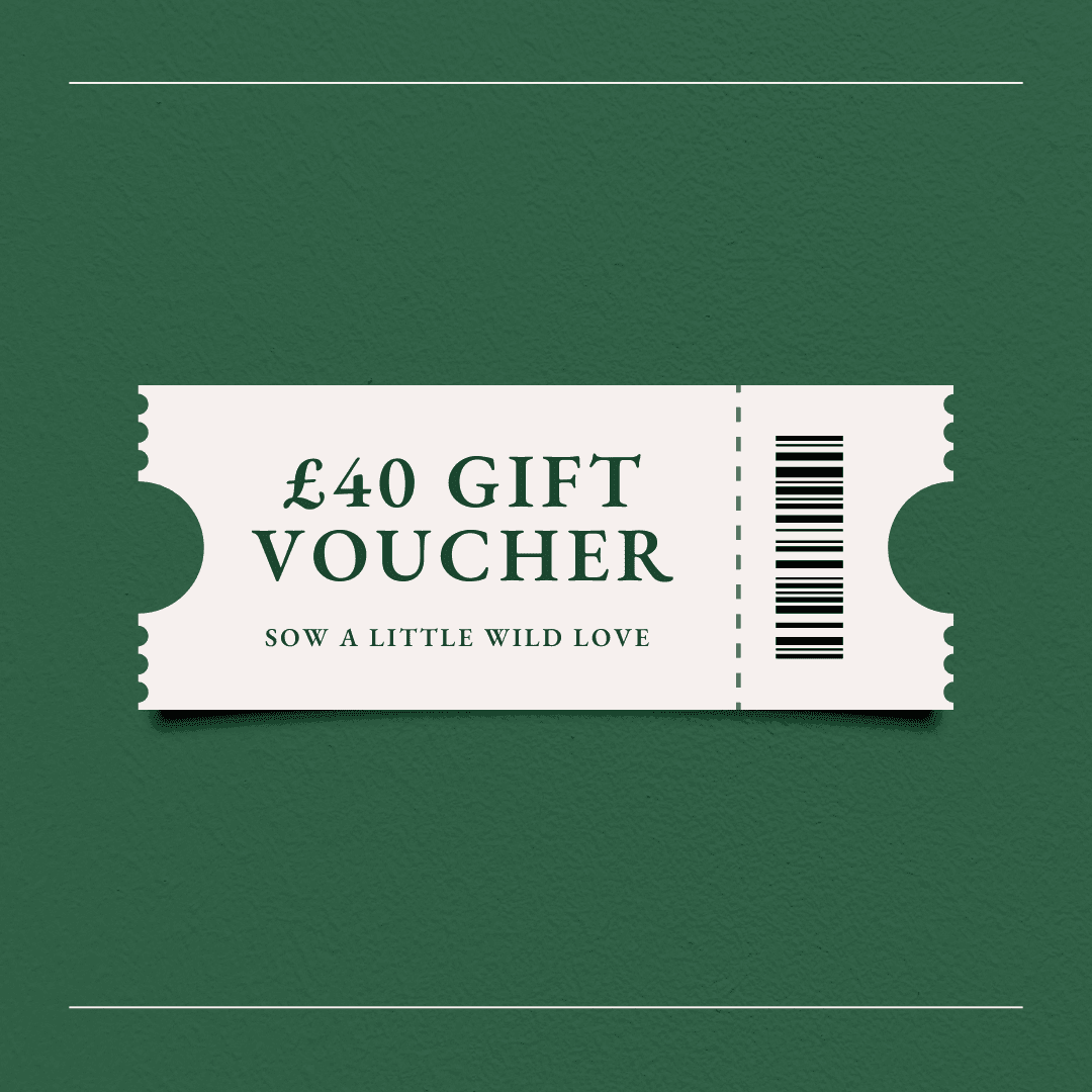 wildflower gift voucher