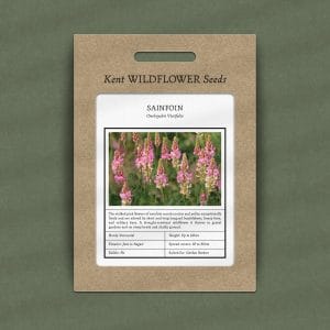 Sainfoin seeds