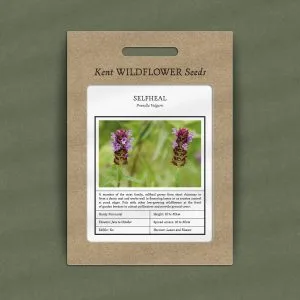 selfheal seeds packet