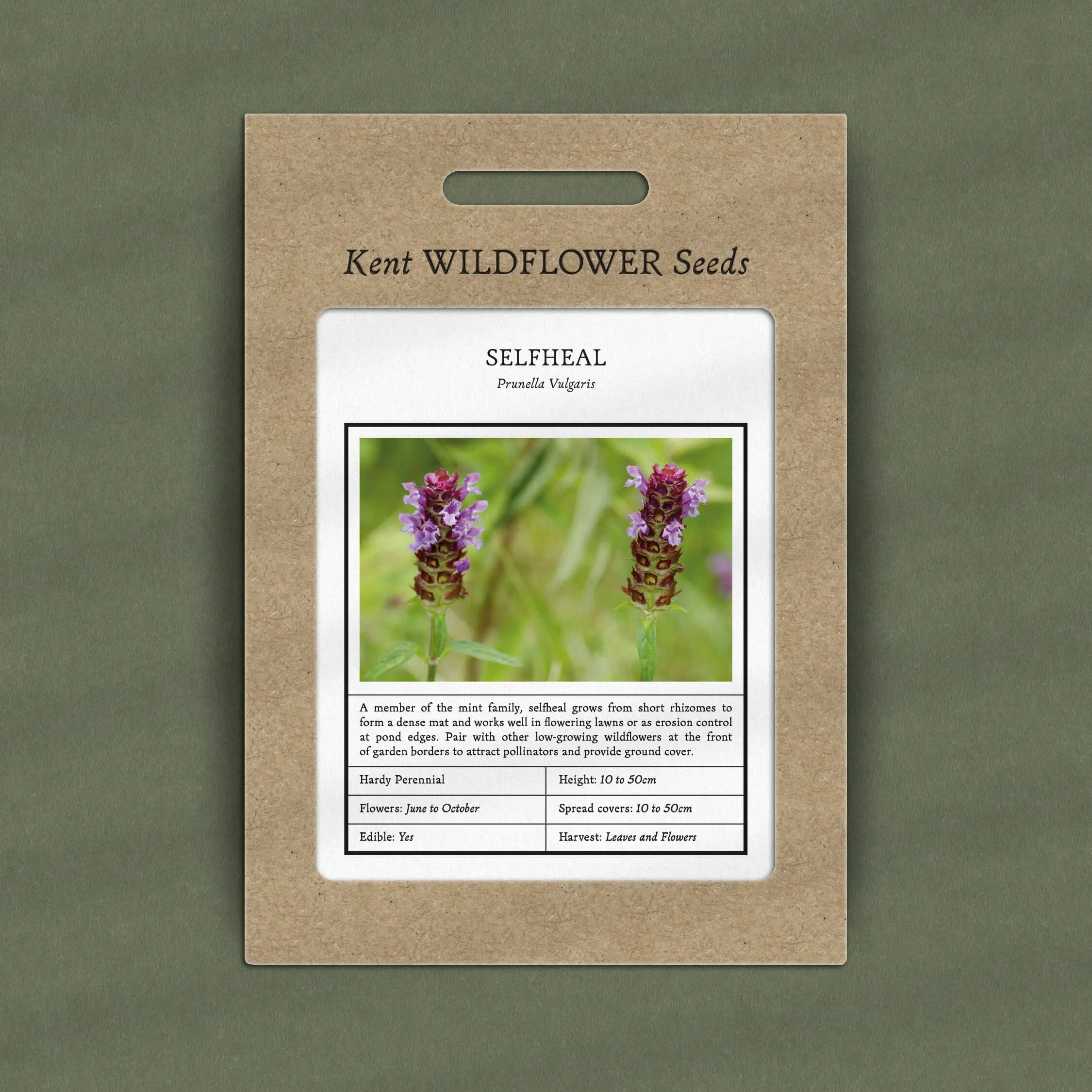 selfheal seeds packet