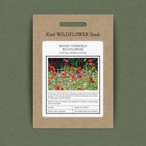 Bright cornfield annual wildflower seed mix