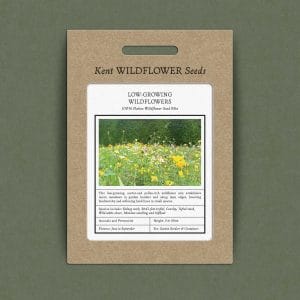 Low growing wildflower seed mix