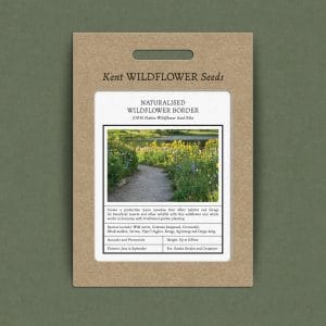 Naturalised border wildflower seed mix
