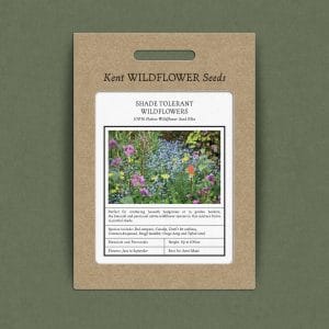 Shade tolerant wildflower seed