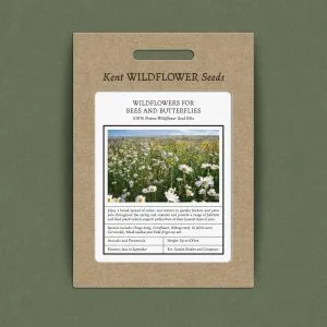 Shade Tolerant Wildflower Mix - Kent Wildflower Seeds