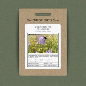 Wildflowers for chalky soils