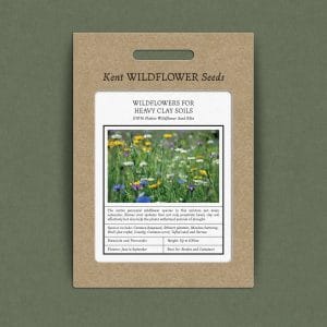 Wildflowers for heavy clay soils