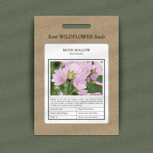 musk mallow seeds