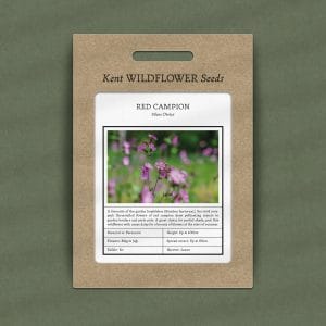 red campion seeds