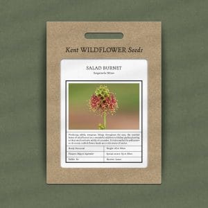 salad burnet seeds