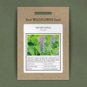 tufted vetch seeds