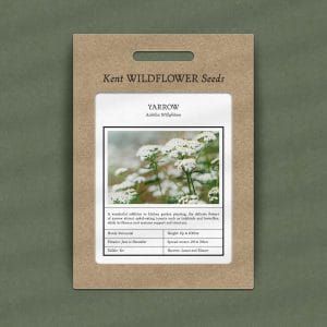 yarrow seeds